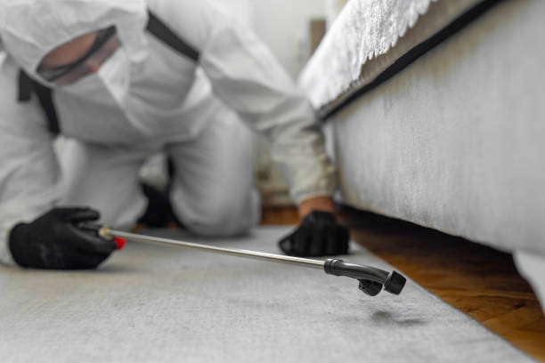 Professional Bed Bug Control technician working in Gardena, CA