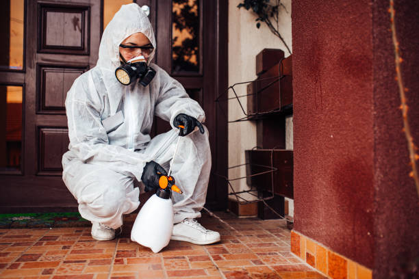 Reliable Bed Bug Control contractor in Gardena, CA by Nex Pest Control